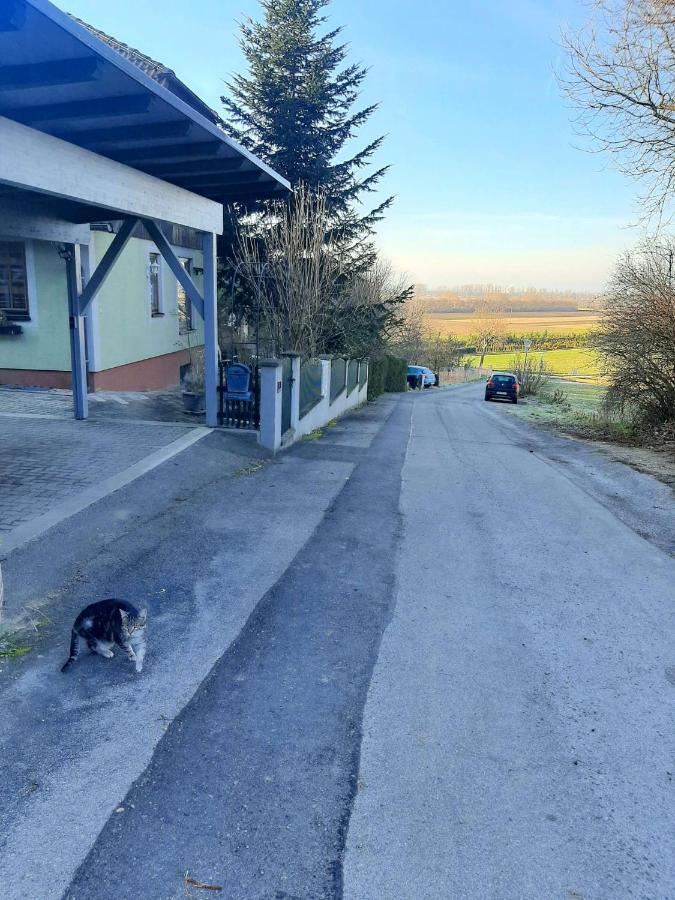 B&B Family Basement Apartment, Breakfast, Free Parking, 5Km From Tulln Chorherrn Exteriör bild