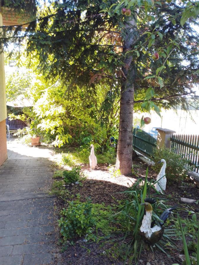 B&B Family Basement Apartment, Breakfast, Free Parking, 5Km From Tulln Chorherrn Exteriör bild