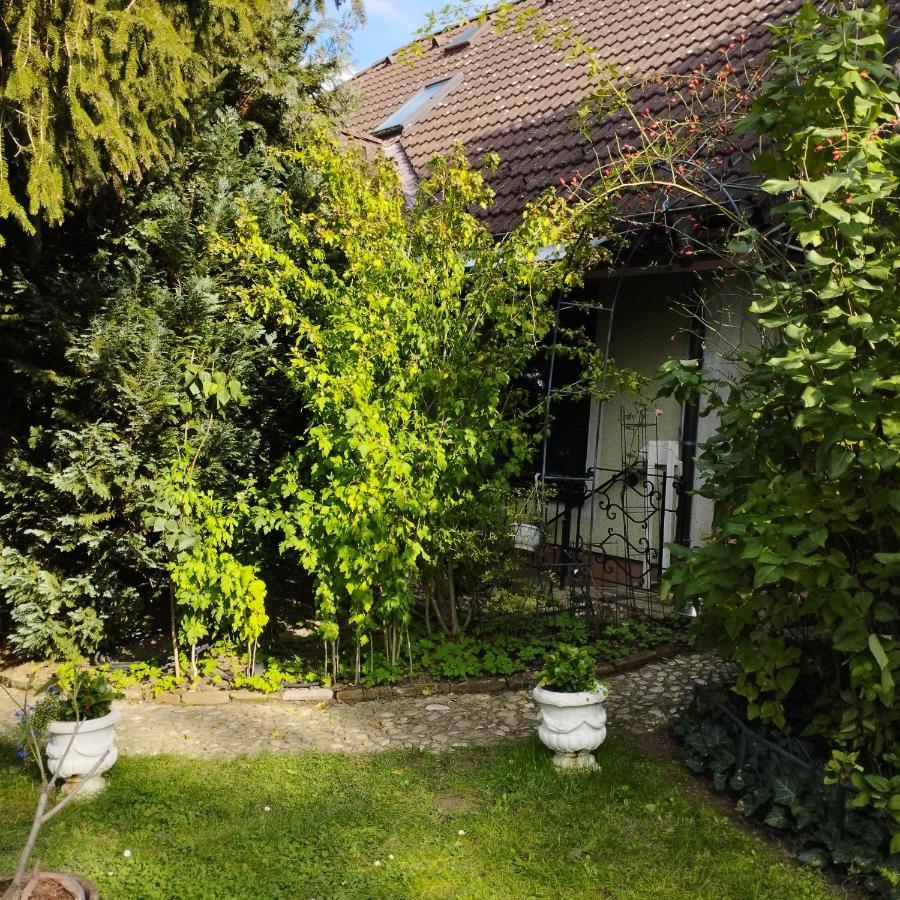 B&B Family Basement Apartment, Breakfast, Free Parking, 5Km From Tulln Chorherrn Exteriör bild
