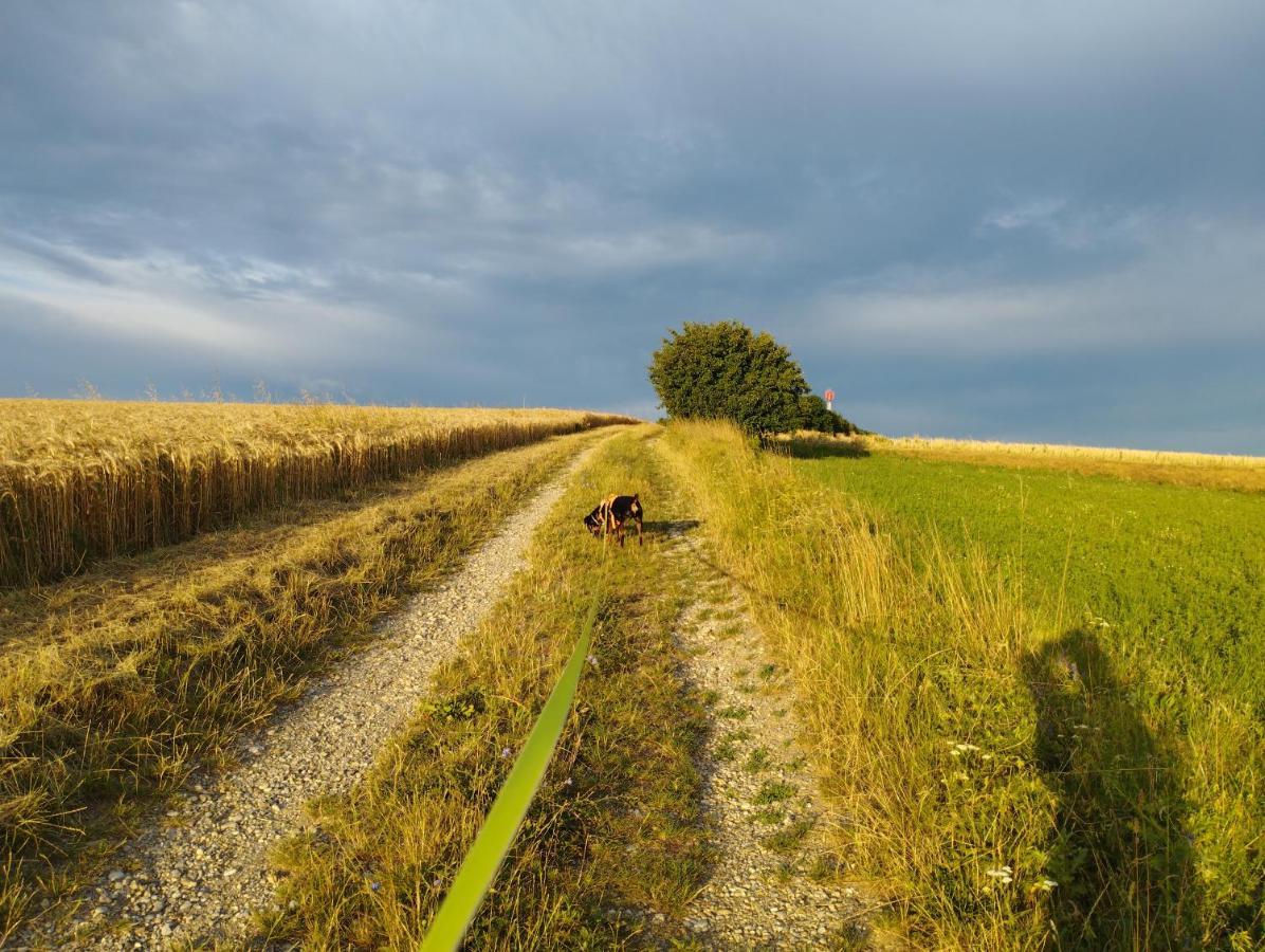 B&B Family Basement Apartment, Breakfast, Free Parking, 5Km From Tulln Chorherrn Exteriör bild